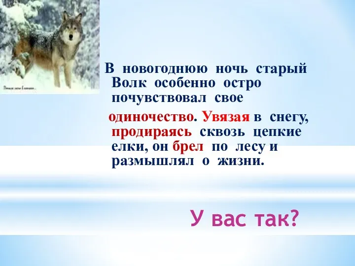 У вас так? В новогоднюю ночь старый Волк особенно остро