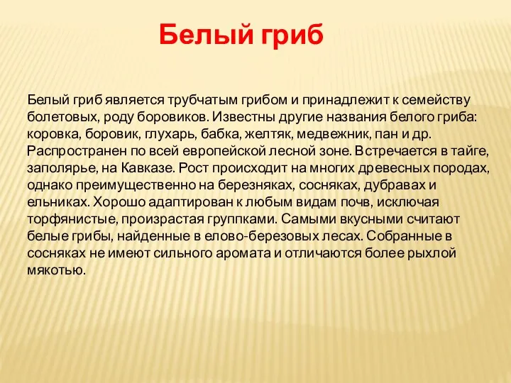 Белый гриб Белый гриб является трубчатым грибом и принадлежит к семейству болетовых, роду