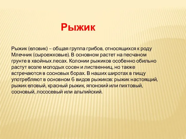 Рыжик (еловик) – общая группа грибов, относящихся к роду Млечник (сыроежковые). В основном