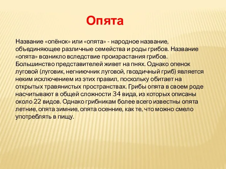 Опята Название «опёнок» или «опята» - народное название, объединяющее различные семейства и роды