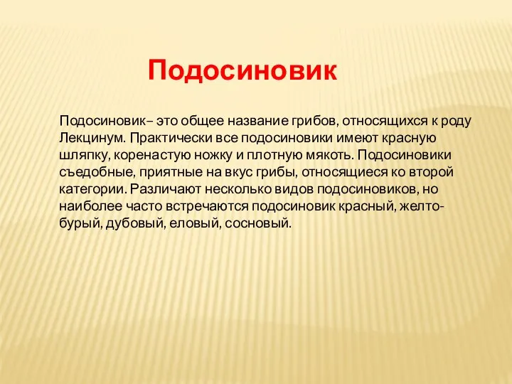 Подосиновик– это общее название грибов, относящихся к роду Лекцинум. Практически все подосиновики имеют