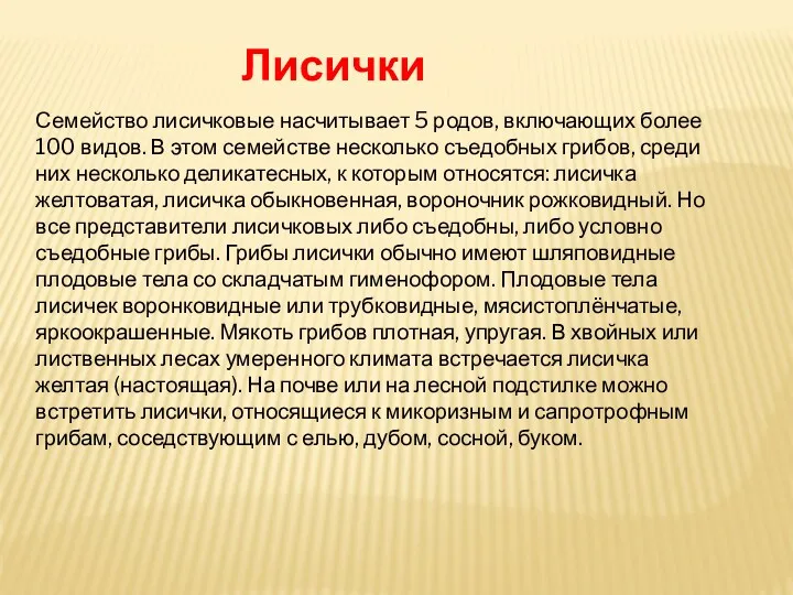 Лисички Семейство лисичковые насчитывает 5 родов, включающих более 100 видов. В этом семействе