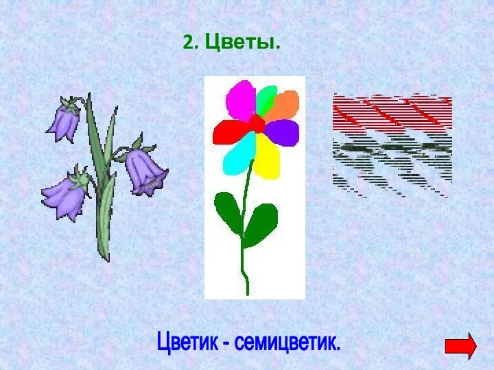 2. Цветы. Цветик - семицветик.