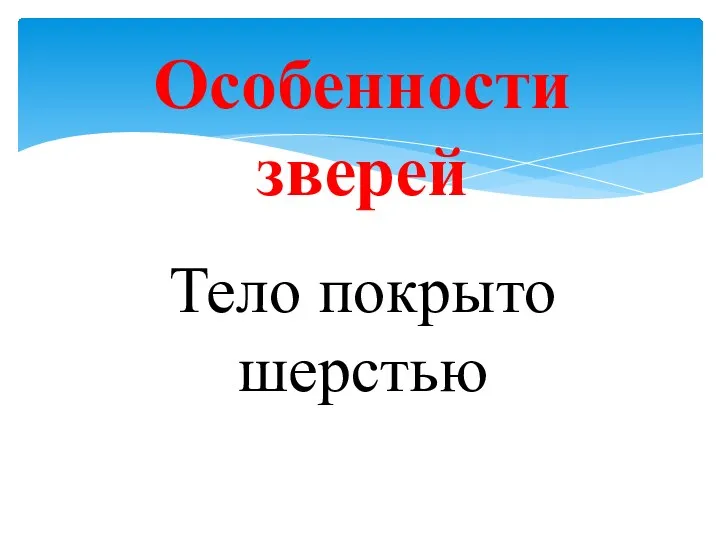 Особенности зверей Тело покрыто шерстью