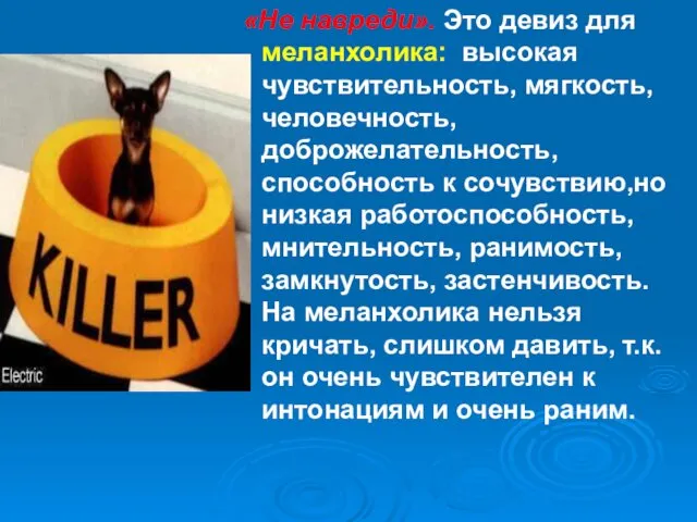 «Не навреди». Это девиз для меланхолика: высокая чувствительность, мягкость, человечность, доброжелательность, способность к