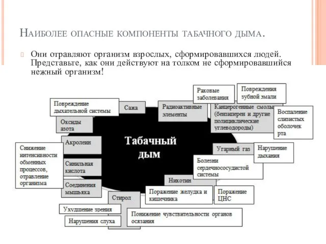 Наиболее опасные компоненты табачного дыма. Они отравляют организм взрослых, сформировавшихся