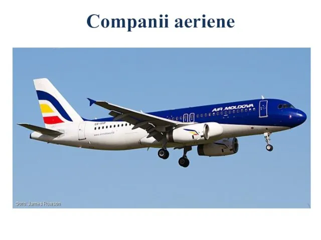 Companii aeriene
