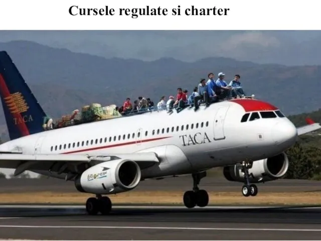 Cursele regulate si charter