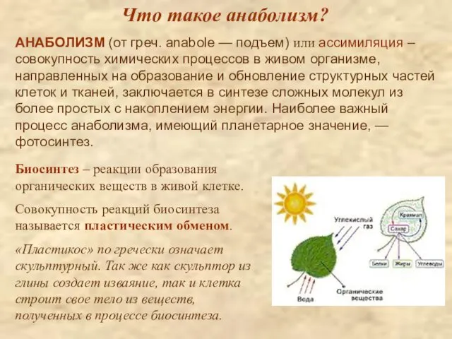 Что такое анаболизм? АНАБОЛИЗМ (от греч. anabole — подъем) или ассимиляция –совокупность химических