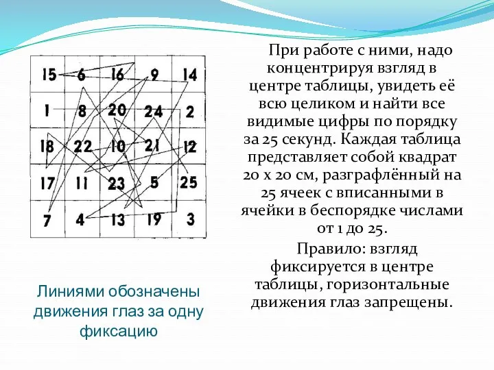 Линиями обозначены движения глаз за одну фиксацию При работе с