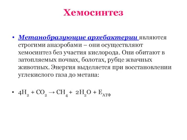 Хемосинтез Метанобразующие архебактерии являются строгими анаэробами – они осуществляют хемосинтез