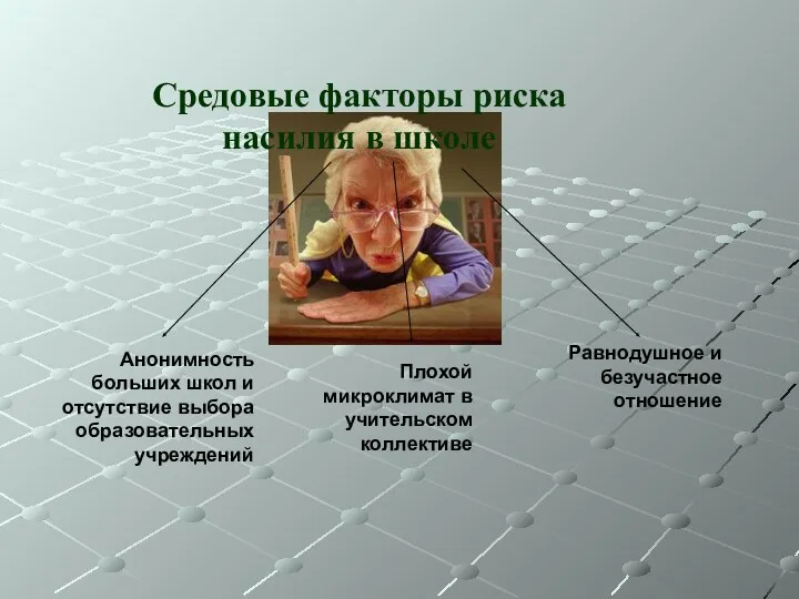 Средовые факторы риска насилия в школе Анонимность больших школ и отсутствие выбора образовательных