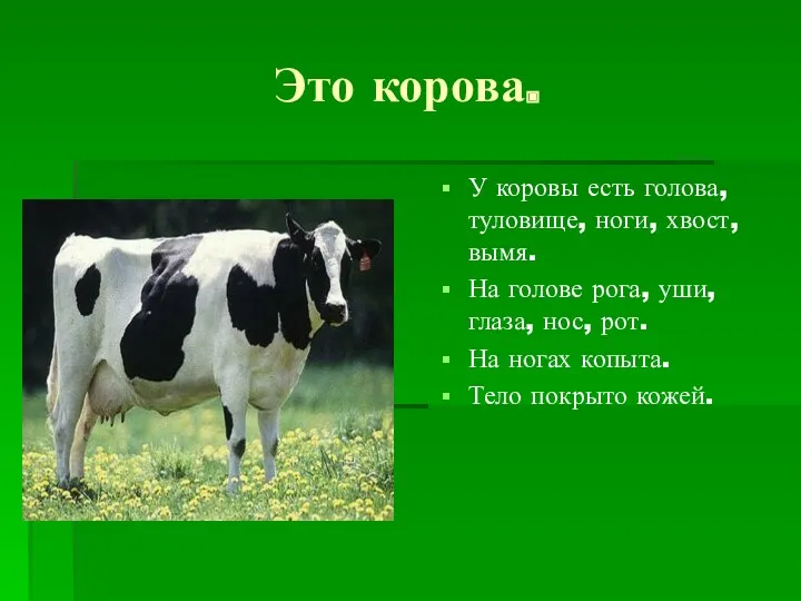Это корова. У коровы есть голова, туловище, ноги, хвост, вымя. На голове рога,