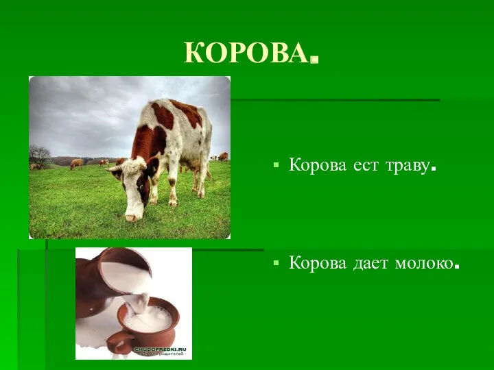 КОРОВА. Корова ест траву. Корова дает молоко.