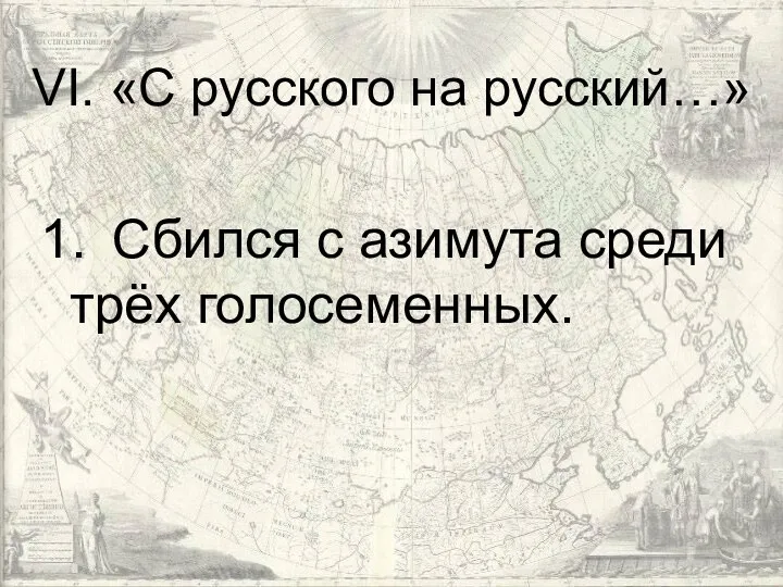 VI. «С русского на русский…» 1. Сбился с азимута среди трёх голосеменных.