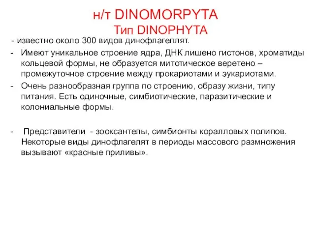 н/т DINOMORPYTA Тип DINOPHYTA - известно около 300 видов динофлагеллят.