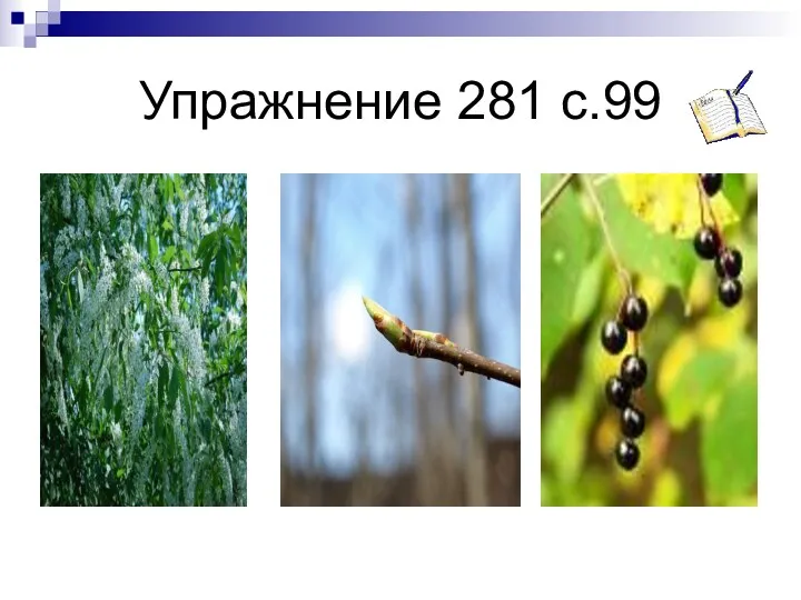 Упражнение 281 с.99