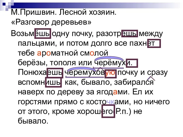 М.Пришвин. Лесной хозяин. «Разговор деревьев» Возьмёшь одну почку, разотрешь между