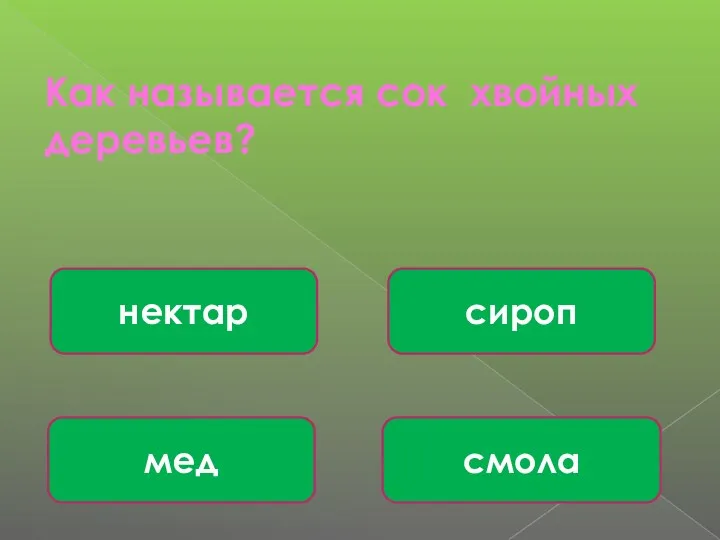 Как называется сок хвойных деревьев? смола сироп мед нектар