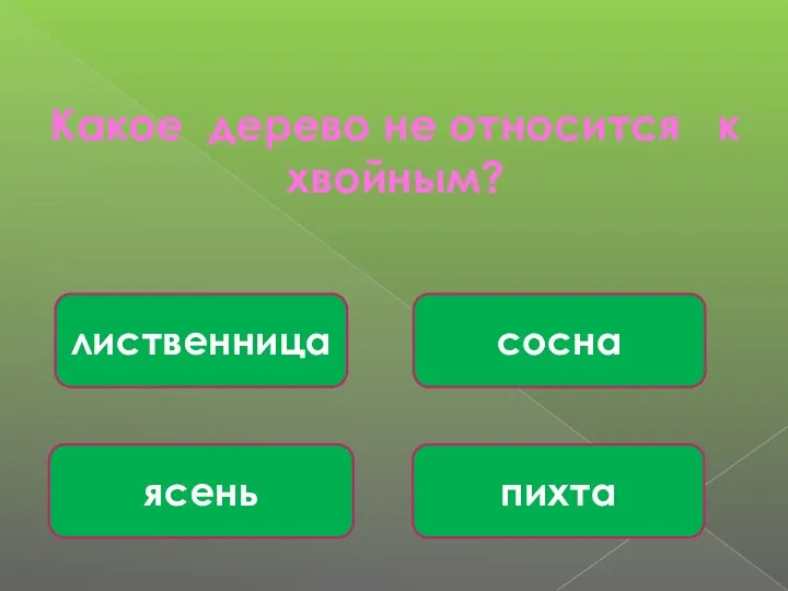 Какое дерево не относится к хвойным? ясень пихта сосна лиственница