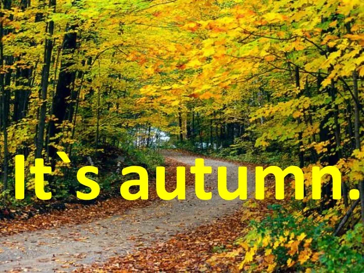 It`s autumn...