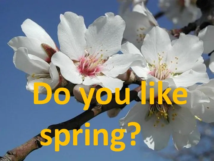 Do you like spring?