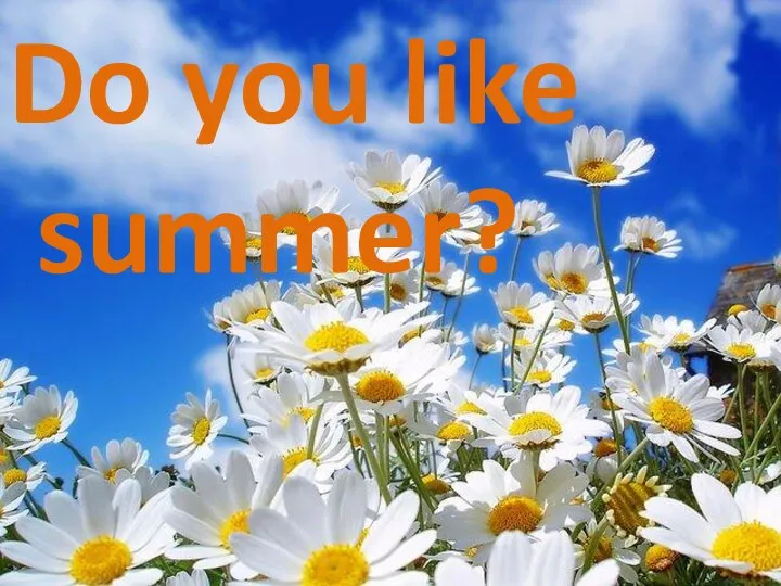 Do you like summer?