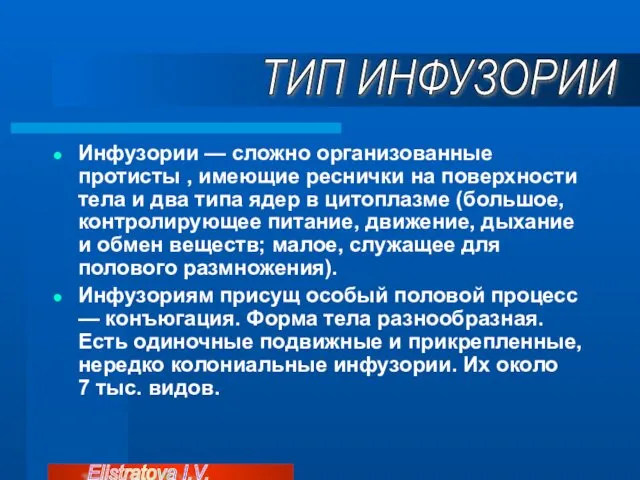 Инфузории — сложно организованные протисты , имеющие реснички на поверхности тела и два