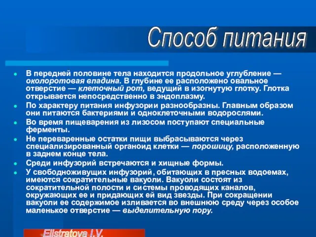 В передней половине тела находится продольное углубление — околоротовая впадина. В глубине ее