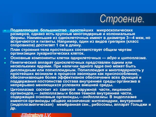 Подавляющее большинство простейших микроскопических размеров, однако есть крупные многоядерные и колониальные формы. Наименьшие