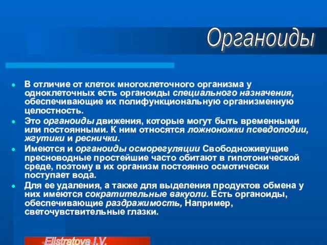 В отличие от клеток многоклеточного организма у одноклеточных есть органоиды специального назначения, обеспечивающие