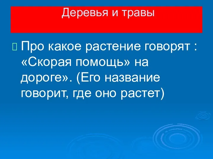 Про какое растение говорят : «Скорая помощь» на дороге». (Его название говорит, где