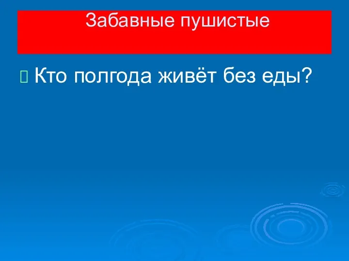 Кто полгода живёт без еды? Забавные пушистые