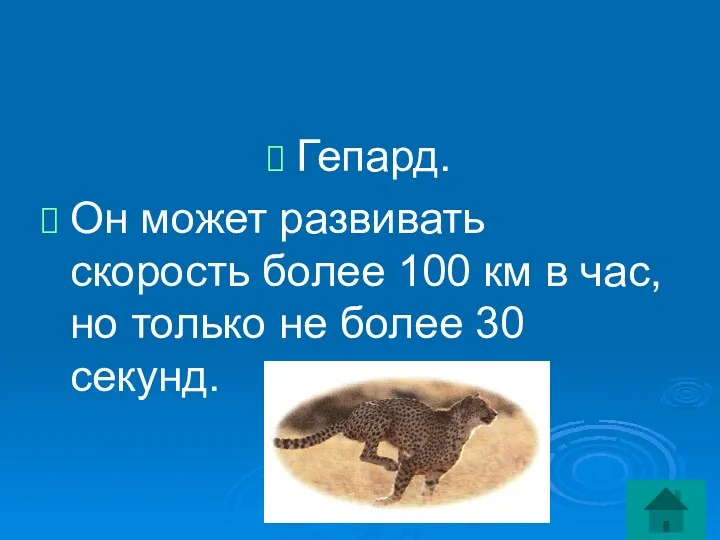 Гепард. Он может развивать скорость более 100 км в час, но только не более 30 секунд.