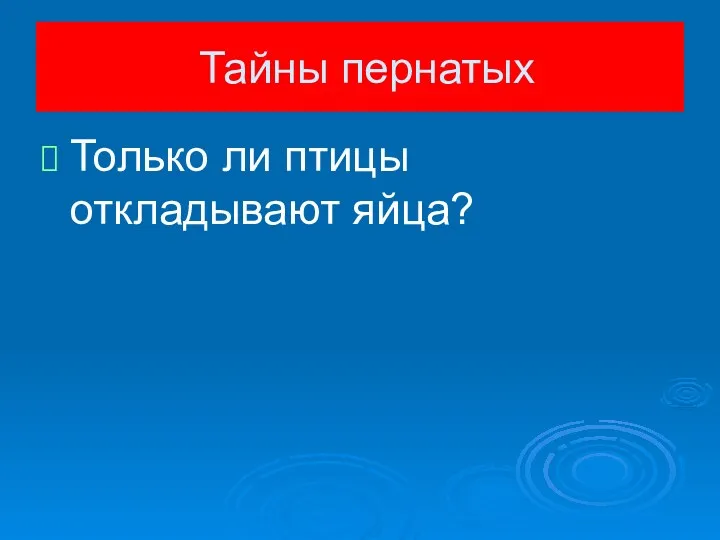 Только ли птицы откладывают яйца? Тайны пернатых