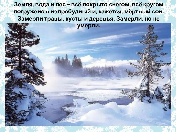 Земля, вода и лес – всё покрыто снегом, всё кругом