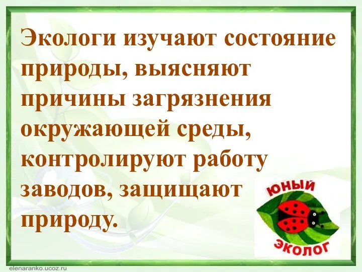 Экологи изучают состояние природы, выясняют причины загрязнения окружающей среды, контролируют работу заводов, защищают природу.