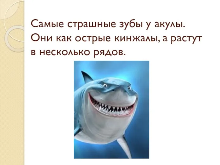 Самые страшные зубы у акулы. Они как острые кинжалы, а растут в несколько рядов.