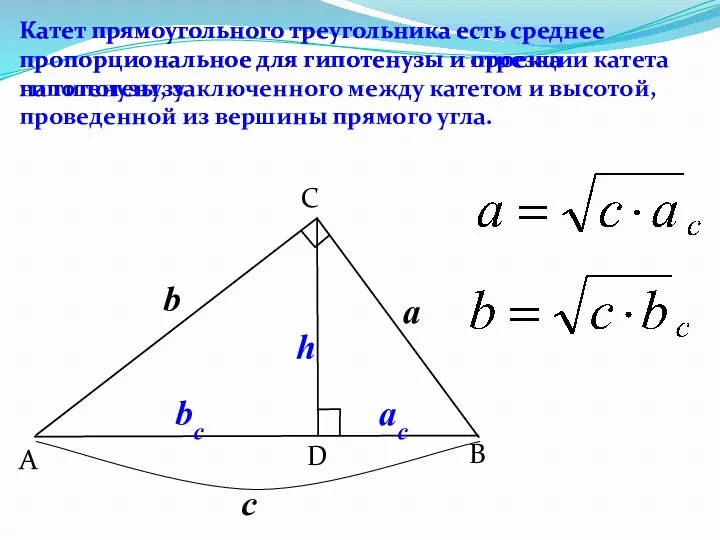 B C A D Катет прямоугольного треугольника есть среднее пропорциональное