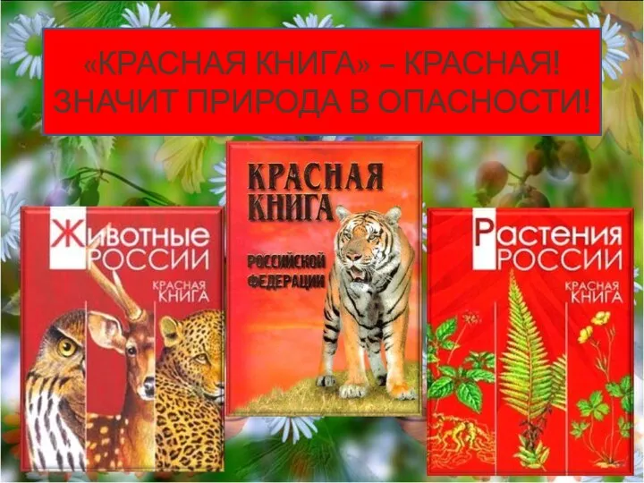 «Красная книга» – Красная! Значит природа в опасности!