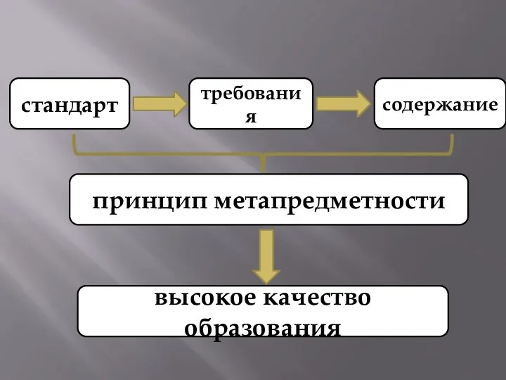 стандарт требования содержание принцип метапредметности высокое качество образования