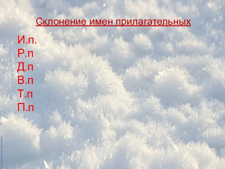 Склонение имен прилагательных И.п. Р.п Д.п В.п Т.п П.п