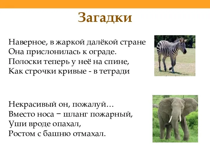 Наверное, в жаркой далёкой стране Она прислонилась к ограде. Полоски теперь у неё