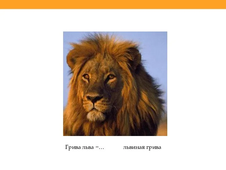 Грива льва −… львиная грива