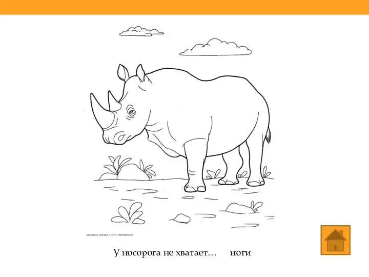 У носорога не хватает… ноги