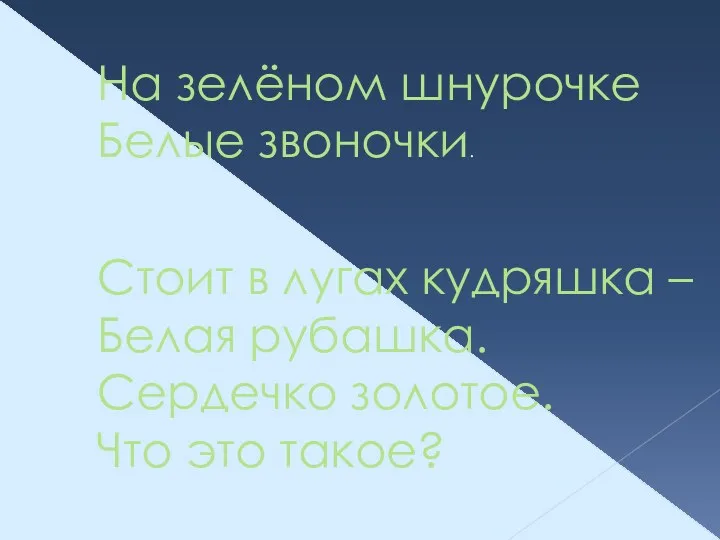 На зелёном шнурочке Белые звоночки. Стоит в лугах кудряшка –