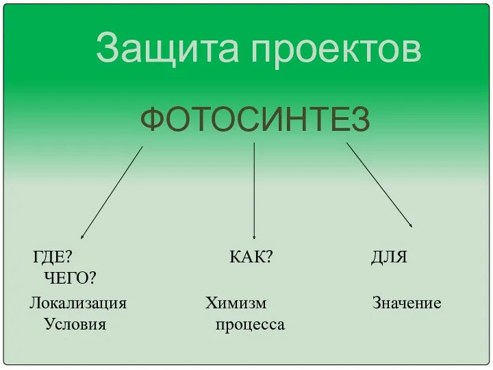 ФОТОСИНТЕЗ ГДЕ? КАК? ДЛЯ ЧЕГО? Локализация Химизм Значение Условия процесса Защита проектов