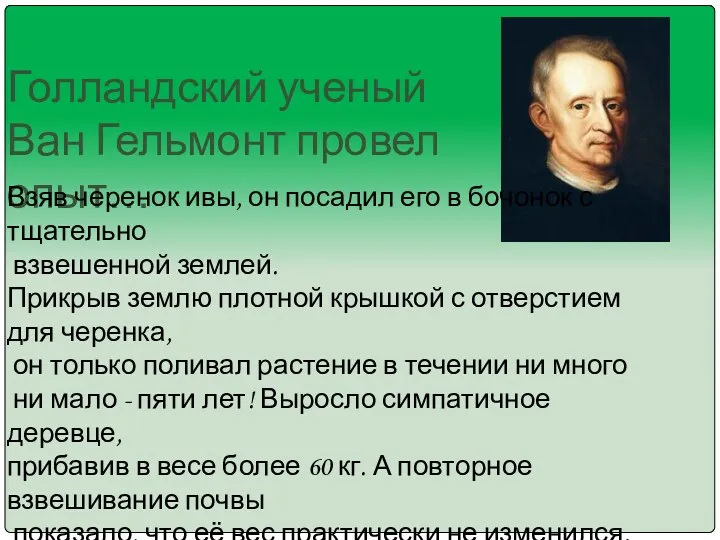 Голландский ученый Ван Гельмонт провел опыт… Взяв черенок ивы, он