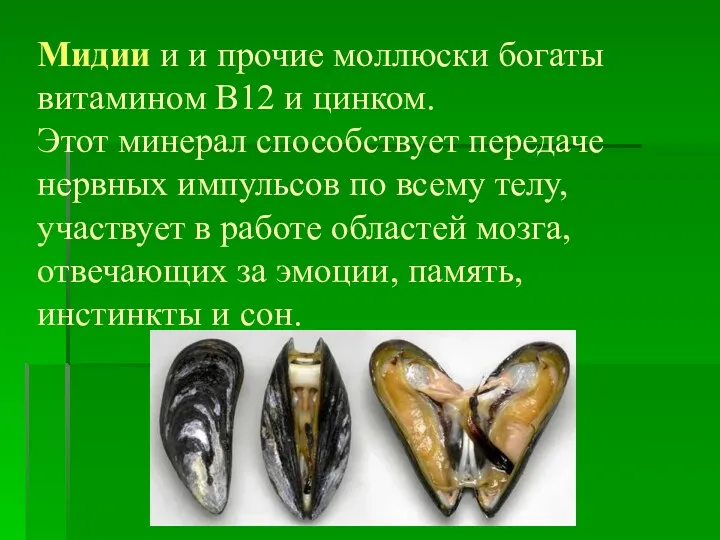 Мидии и и прочие моллюски богаты витамином В12 и цинком.