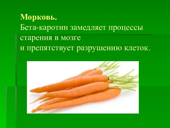 Морковь. Бета-каротин замедляет процессы старения в мозге и препятствует разрушению клеток.